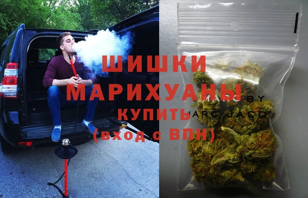 стаф Арсеньев