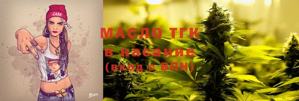 стаф Арсеньев